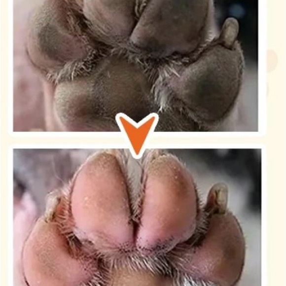 Protect 🐶 your dog’s 🐾 paws in the SUMMER HEAT 🥵 🛍️ paw 🐾 balm - Picture 3 of 11